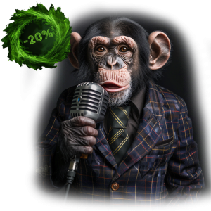 Formation intégrale + 2h de coaching studio